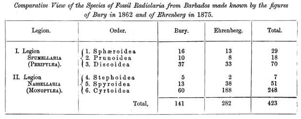 Comparison of Species